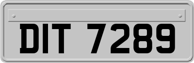 DIT7289