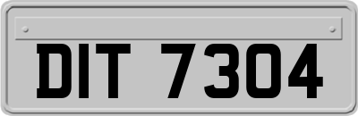 DIT7304