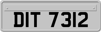 DIT7312