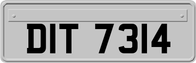 DIT7314
