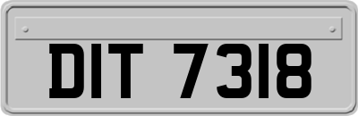 DIT7318