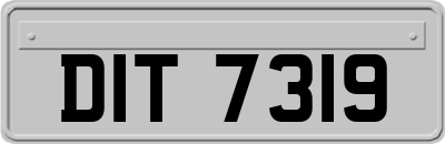 DIT7319