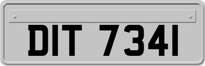 DIT7341