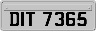 DIT7365