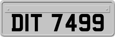 DIT7499