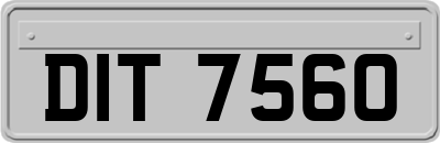 DIT7560