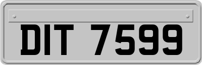 DIT7599