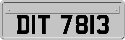 DIT7813