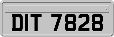 DIT7828