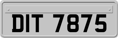 DIT7875