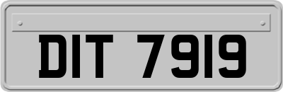 DIT7919