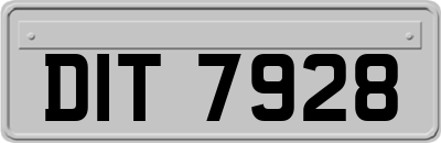 DIT7928