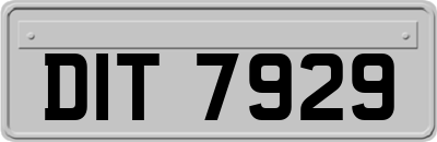 DIT7929