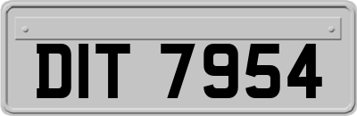 DIT7954