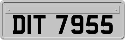 DIT7955