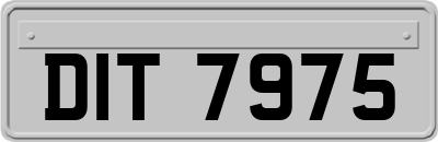 DIT7975