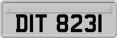 DIT8231