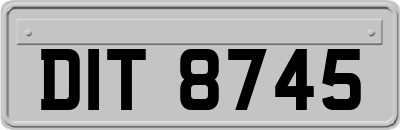 DIT8745