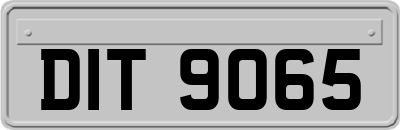 DIT9065