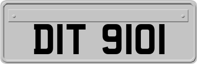 DIT9101