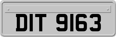 DIT9163