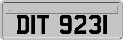 DIT9231