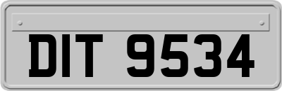 DIT9534