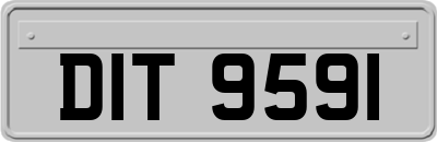 DIT9591