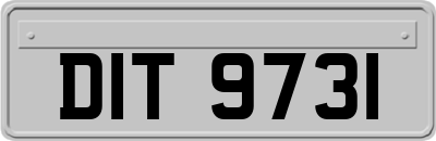 DIT9731