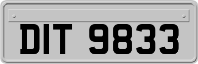 DIT9833