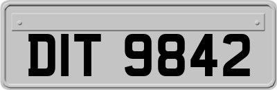 DIT9842