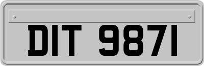 DIT9871