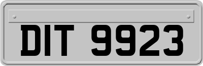 DIT9923