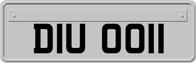 DIU0011