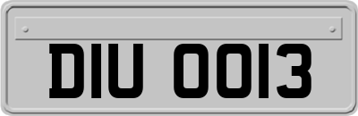 DIU0013