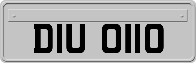 DIU0110