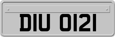 DIU0121