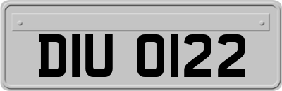 DIU0122