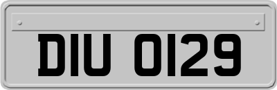 DIU0129