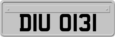 DIU0131