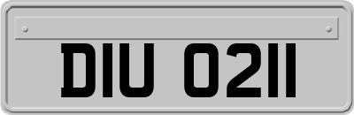 DIU0211