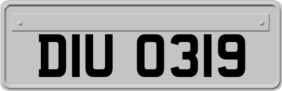 DIU0319