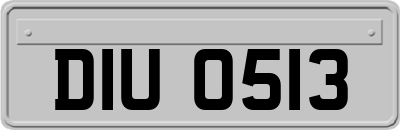 DIU0513