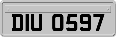 DIU0597