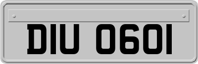 DIU0601