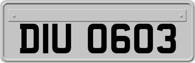DIU0603
