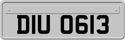 DIU0613
