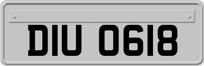 DIU0618