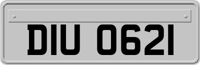 DIU0621