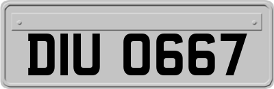 DIU0667